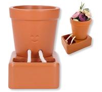 Globi per irrigazione automatica delle piante a foglia, piante da 2 pezzi