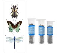 GLOBLELAND 300 pz Spille per Campioni di Insetti In 3 misure Spille per Insetti In Acciaio Inossidabile con Perni per Fiale di Conservazione Sicura In Plastica Dura Farfalle Coleotteri Aghi
