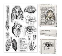 GLOBLELAND Organo umano Timbri trasparenti per il fai da te Scrapbooking Decor Corpo Colonna vertebrale Cervello Cuore Polmoni in silicone trasparente Francobolli per fare le carte Album di foto