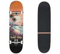 Globo G1 Visitation Terra Bay 8.25" Completo