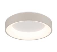 Globo Lampada Da Soffitto LED 38 cm CCT Dimmerabile Telecomando [EEK: E]