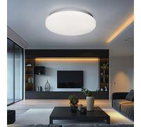 Globo LED Design Plafoniera Rotonda Opal 29x6,1 cm 20W 1-3 Luci Calda