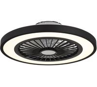Globo Lighting Blizzak lampada ventilatore da soffitto 1x45 W bianco-nero 03653