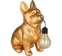 Globo Lighting Solar lampada da terra 1x0.06 W oro 36333G