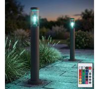 RGB LED Per Esterni Piantana Telecomando Dimmerabile Cambio Colore H 110 CM