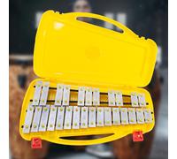 Glockenspiel E Due Mazze Sono Un Regalo Perfetto per I Bambini