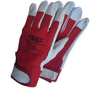 Glooke Selected Guanti, Multicolore, Unica, 12 Unità