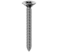 Glooke Selected - Set 100 Vite Autofilettante Inox Truciolare Tp 5x60 E-100 Bulloneria-viteria