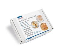 Glorex 6 2101 521 - Set Completo di Resina per colata di Cristalli, per la Progettazione di Una Sfera colata in Resina, Produzione a Bassa Temperatura