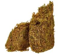 GLOREX 6 2220 304 - Muschio in Piastre, Sacchetto da 30 g, Piastre di Muschio di Colore Verde Intenso, per la Decorazione, Il modellismo e la Costruzione di culle