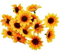 Glorex GmbH GLOREX 6 3803 593-Fiori di Girasole, Artificiali, Dimensioni Circa Pezzi, per Decorare, Come Decorazione sparsa, Not Known, Yellow-Black, 30-35 mm, 15 unità