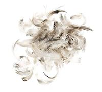 Glorex 6 3822 150 - Piume di Gallo, Circa 5-12 cm, Come Materiale Artigianale e per la Decorazione, Sacchetto da 10 g