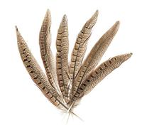 Glorex Piume, Naturali, 20-25 cm