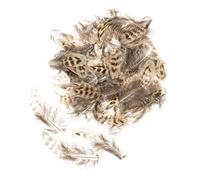 Glorex Piume, Naturali, 5-12 cm