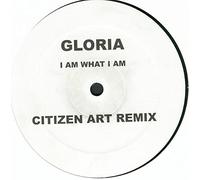 Gloria Gaynor - G Gaynor What I Am