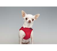 Gloria Pets Arnés / Dress Points L