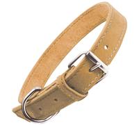 Gloria Pets Collana Oasis Giallo 40cm x 15mm