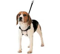 Gloria Shooting Correttore Harness 150 g