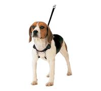Gloria Shooting Correttore Harness 150 g