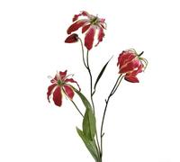 Gloriosa - Composizione di fiori artificiali, 80 cm, ornamento floreale finto con petali testurizzati realistici, per soggiorno, tavolo da pranzo, centrotavola, matrimoni o eventi (rosso)