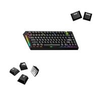 Glorious Gaming - GPBT Basics (PBT-tangenter), 8 färger, bleknar inte, för mekaniska tangentbord, passar till 100%,75%,65% och 60%,passar ANSI/ISO - Amerikansk QWERTY-layout
