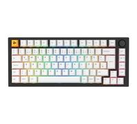 Glorious PC Gaming Race GMMK Pro Black Slate 75% GLO-GMMK-P75-FOX-ISO-B-DE
