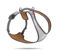 Glow Belka Harness Gray 3XL