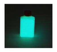 Glow in the dark Aqua Blu ZZ4 Pittura Nostro più Brillante Alta Qualità 15ml