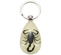 Glow-in-the-dark Real Insect Keychain (black )