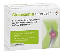 Glucosamina intercell® (glucosamina e condroitina altamente concentrate) 120 ...
