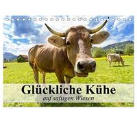 Glückliche Kühe auf saftigen Wiesen (Tischkalender 2026 DIN A5 quer), CALVENDO Monatskalender: Kühe, die das Leben genießen dürfen