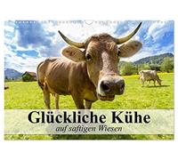 Glückliche Kühe auf saftigen Wiesen (Wandkalender 2026 DIN A3 quer), CALVENDO Monatskalender: Kühe, die das Leben genießen dürfen