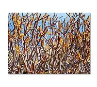 Glücksvilla - Pittura mediterranea 1 (immagine su tela 2 cm, 40 x 30 cm) in Germania - Stampa artistica XXL decorativa trasversale - Piante da giardino