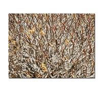 Glücksvilla - Pittura mediterranea 2 (immagine su tela 2 cm, 160 x 120 cm) in Germania - Stampa artistica XXL decorativa orizzontale - Piante da giardino