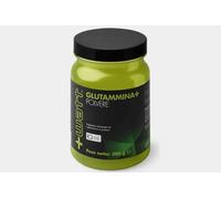 Glutammin 300g polvere - +Watt