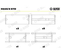 GLYCO H025/5 STD Bronzine di banco
