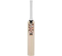 GM Rival, mini mazza da cricket in legno in miniatura, perfetta per autografi dei giocatori, area del viso 25 x 5,5 cm, manico 13 x 2,2 cm Gunn & Moore