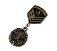 GMBYLBY Badge Antichi Badge Martial Fans Collector Star Pin Per Spillo Per La Raccolta Amanti Della Storia Antique