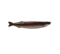 GMBYLBY Fermaglio per capelli a forma di pesce realistico per acconciature divertenti e alla moda con pesce essiccato portachiavi zaino