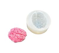 GMBYLBY Superficie liscia della muffa del cervello del silicone della finitura a specchio per i progetti scientifici Anatomia educativa del commestibile del silicone