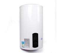 GMSLuu Caldaia elettrica per riscaldamento dell'acqua calda Smart Control da parete, scaldabagno elettronico con display digitale per bagno cucina 2 KW 220 V (80 L), BGRSQ100