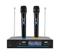 GMSLuu Set microfono wireless professionale a 2 canali per karaoke party DJ chiesa matrimonio incontro lezioni