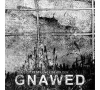 Gnawed Pestilence Beholden (CD) Album