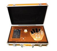 GNbow Analizzatore Magnetico a Risonanza Quantistica, Sistema di Analisi Computerizzata Quantistica, Macchina per Biorisonanza, Supporto Multilingue per Casa e Ufficio, 53 Report