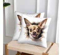 GNMRTFEAE Chihuahua Federa Per Cuscino Set Di 2 Per Divano Giardino Cuscini Decorativi Animale Copricuscino Resistente All'usura Copricuscino 40x40cm