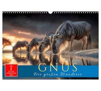 Gnus - die großen Wanderer (Wandkalender 2026 DIN A3 quer), CALVENDO Monatskalender: Afrikas Wildnis - Naturgewalt auf vier Hufen.