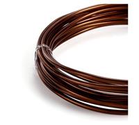 GNYVZXPLQ Filo Metallico in Alluminio, Aluminum Wire Round Multicolor Multiple Sizes Painted for DIY Jewelry Making Accessories(Coffee,1.2mm x 10Meters)