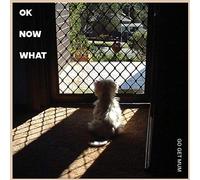 Go Get Mum - OK Now What (LP)