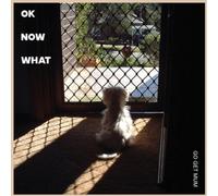 Go Get Mum Ok Now What (Vinyl LP) 12" Album