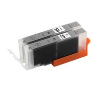 Go Inks® 2 cartucce d'inchiostro grigio per sostituire CLI-571GY compatibili/non OEM per stampanti Pixma